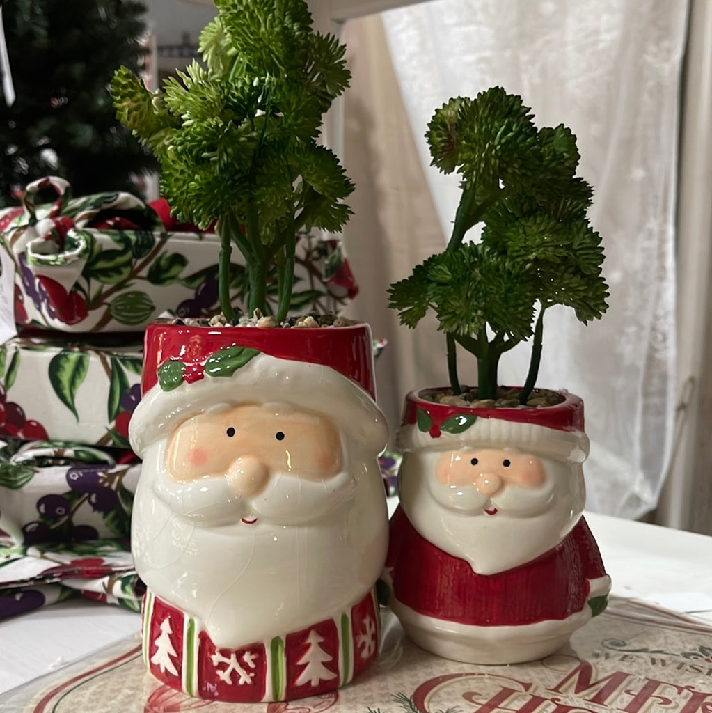 Babbo Natale ceramica con pianta h25