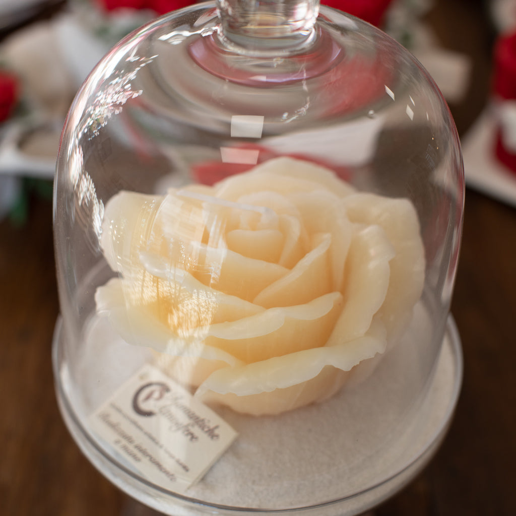 Campana alta h.320 con rosa media new avorio