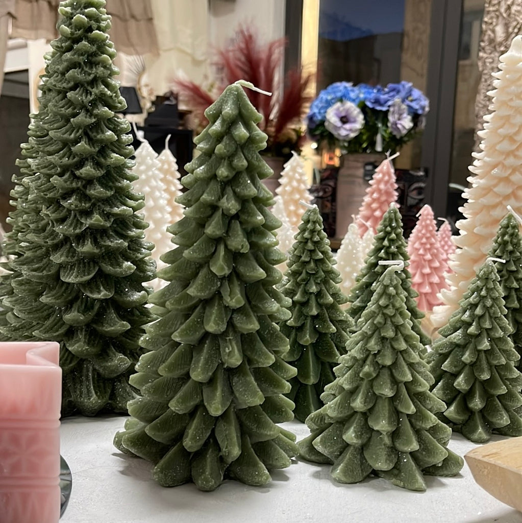 Albero grande brinato