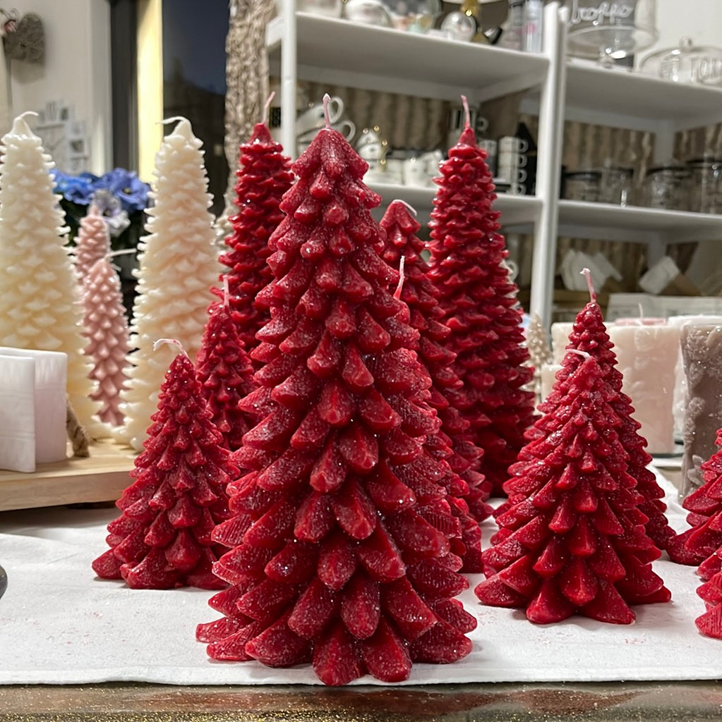 Albero grande brinato