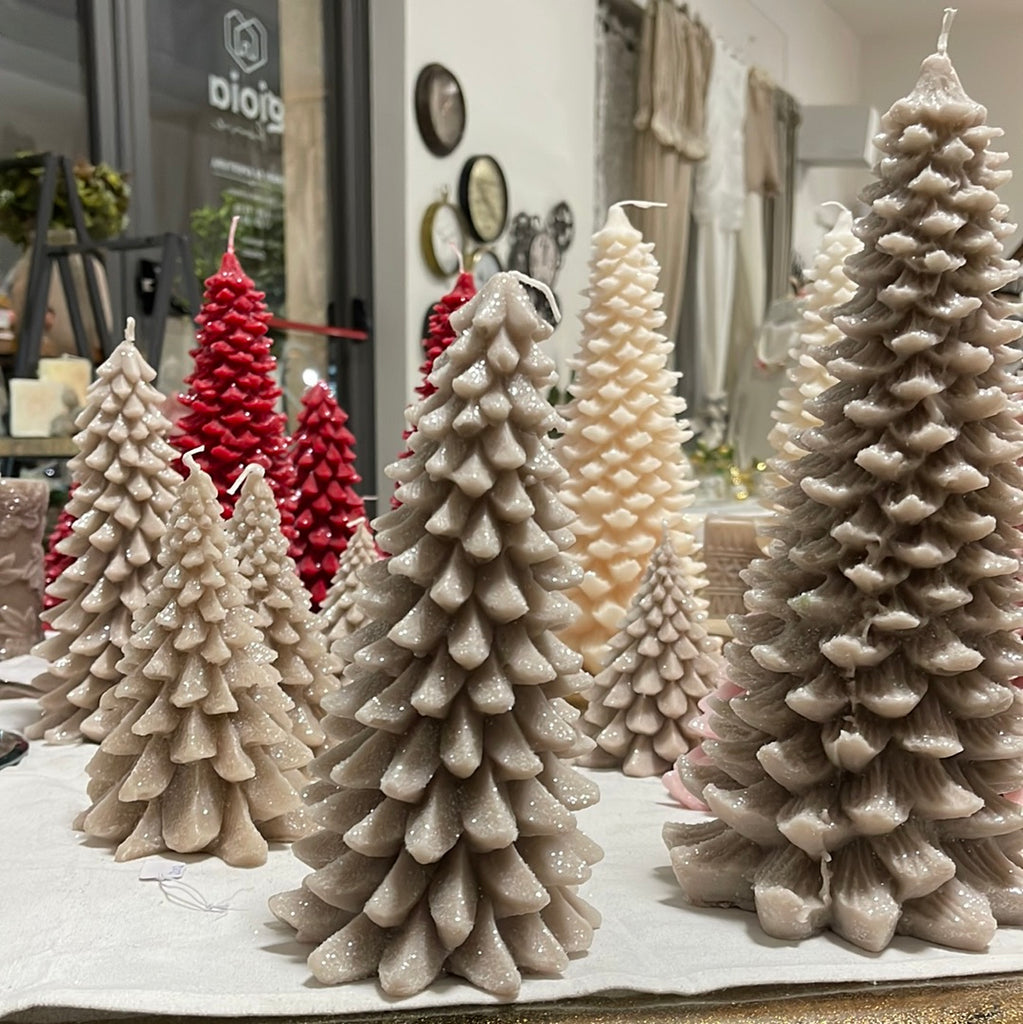 Albero grande brinato